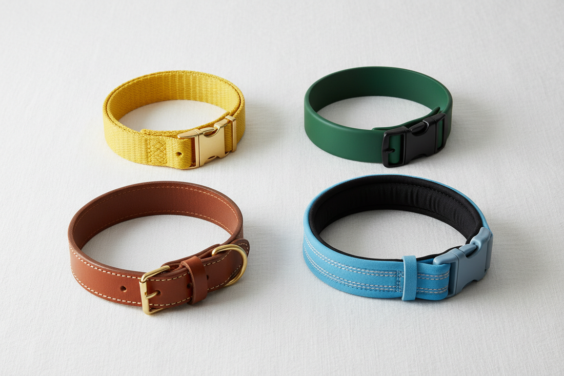 Best Dog Collar Materials: Durable, Comfortable & Long-Lasting