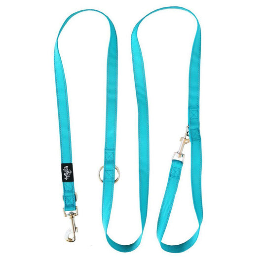 Turquoise dog leash with metal clip on a white background