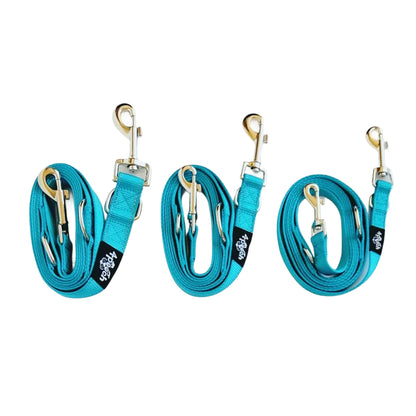 4Pooch Multi-Function Lead