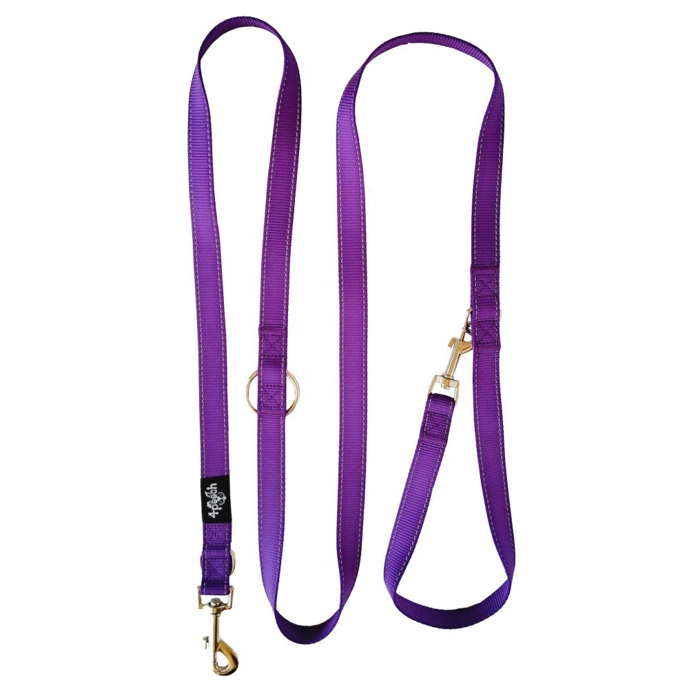 Purple dog leash with gold hardware on a white background