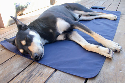 SnufflePlace™ Training Mat