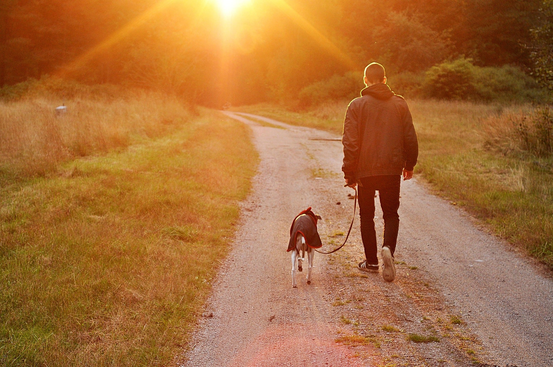 Person walking a dog on a path with a sunset in the background