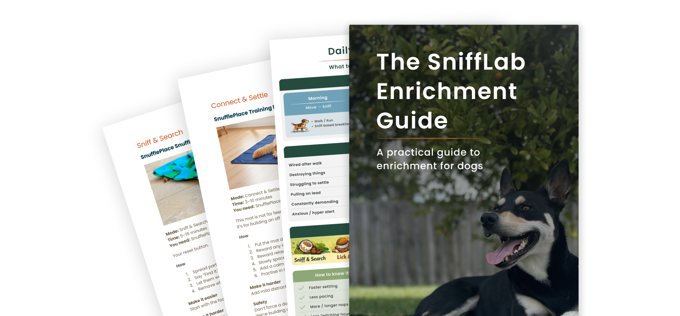 SniffLab Enrichment Guide with a dog on a white background