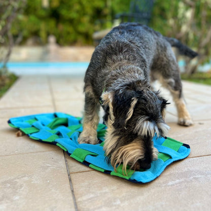 SnufflePlace™ Snuffle Mat