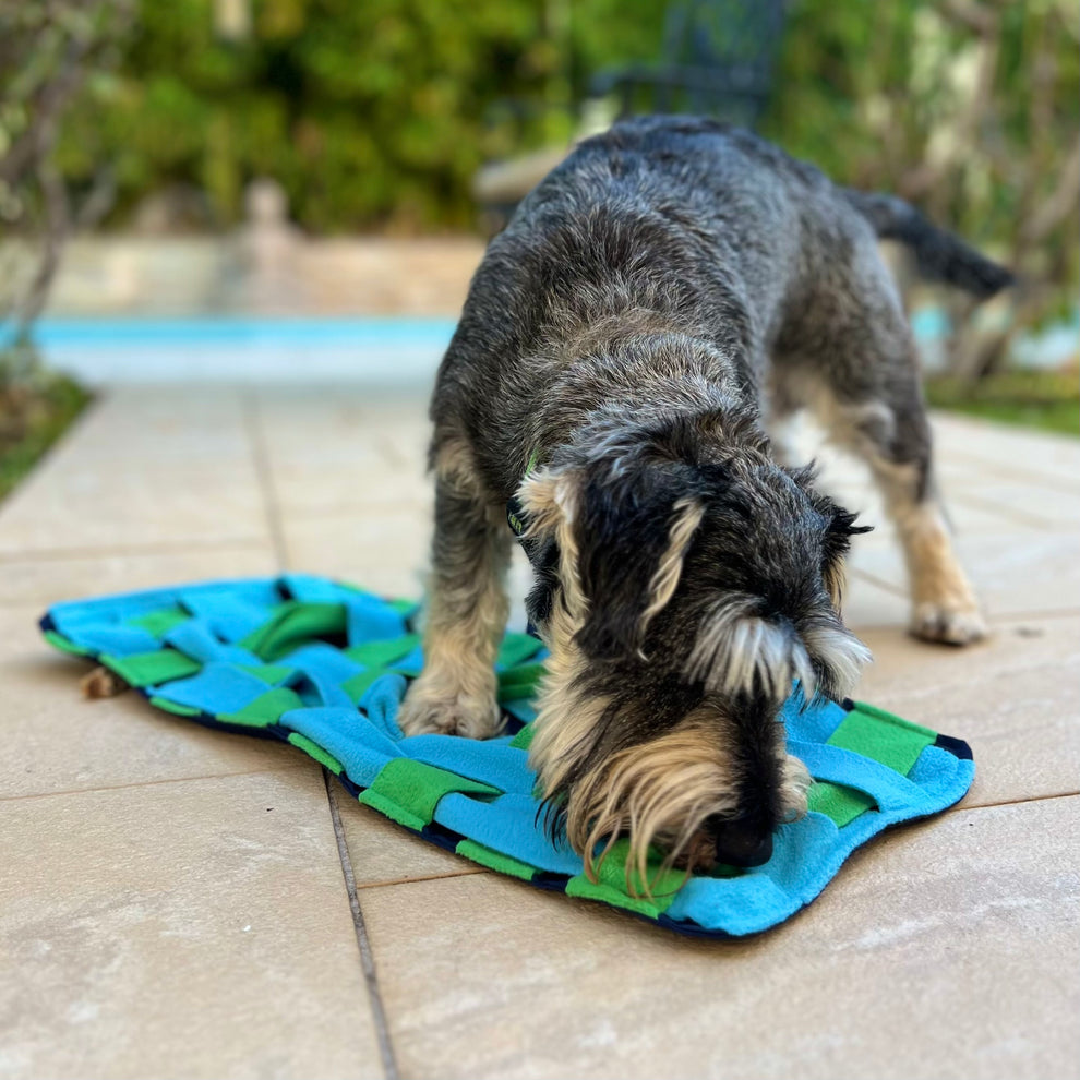 SnufflePlace™ Snuffle Mat – SniffLab