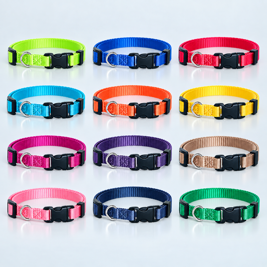 Twelve nylon dog collars in assorted bright colors, arranged in a 3-by-4 grid on a light gray reflective studio background. Each collar has a black plastic quick-release buckle and a silver metal ring.
