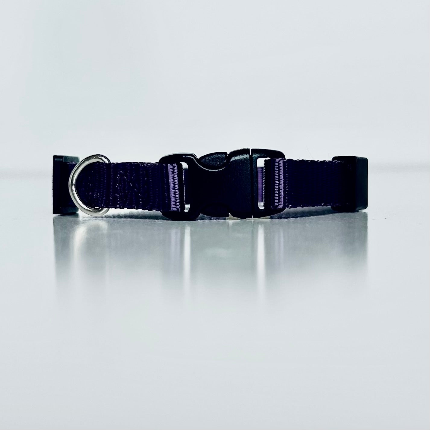 Purple dog collar with a black buckle on a reflective grey surface