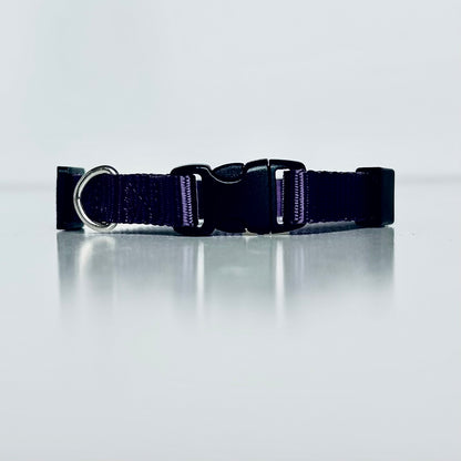 Purple dog collar with a black buckle on a reflective grey surface