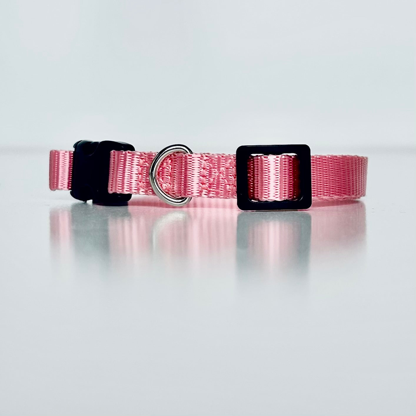 Pink dog collar with black buckle on a light gray background