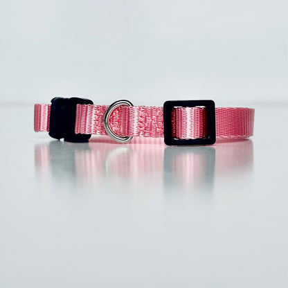 Pink dog collar with black buckle on a light gray background