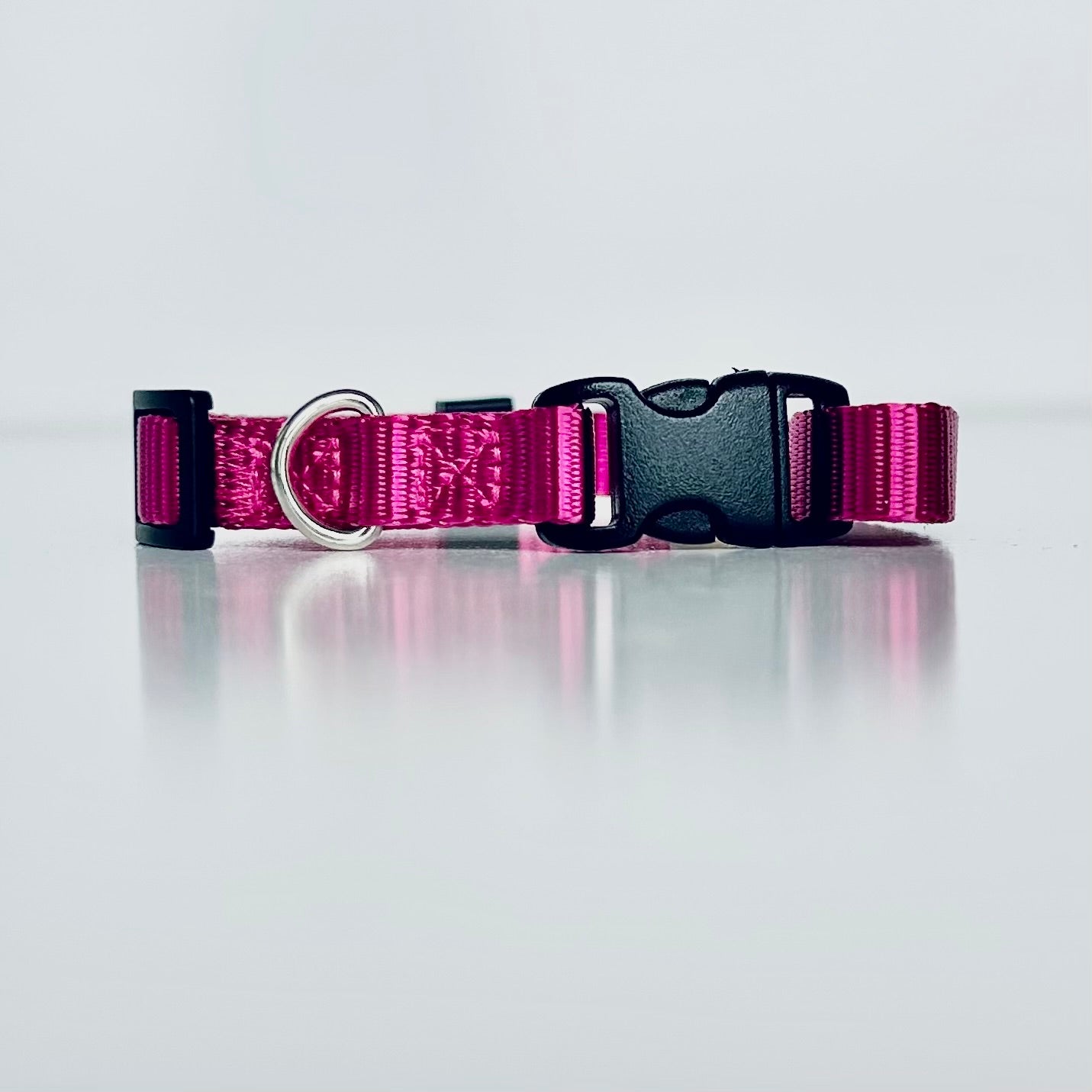 Pink dog collar with a black buckle on a light grey background