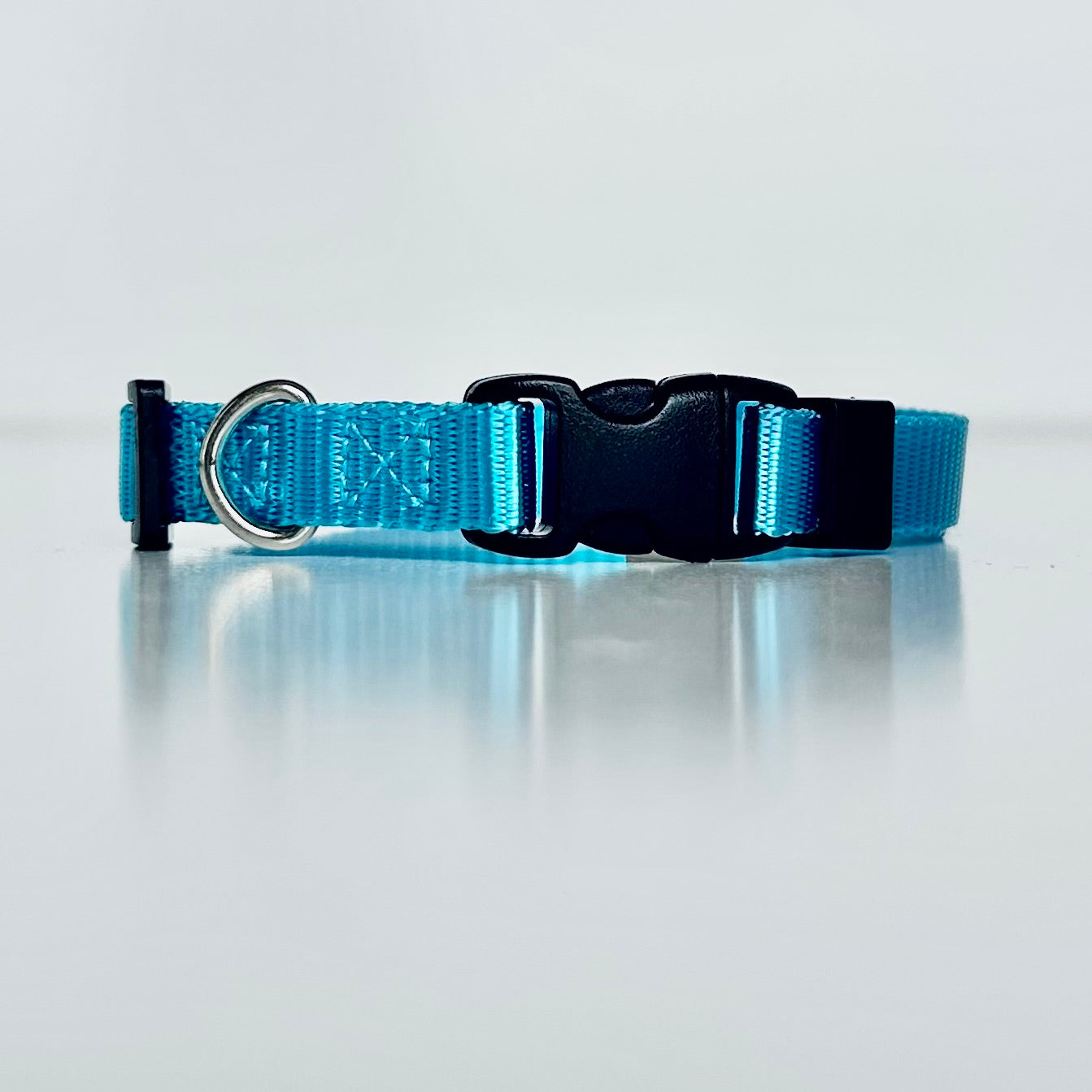 Blue dog collar with a black buckle on a light gray background
