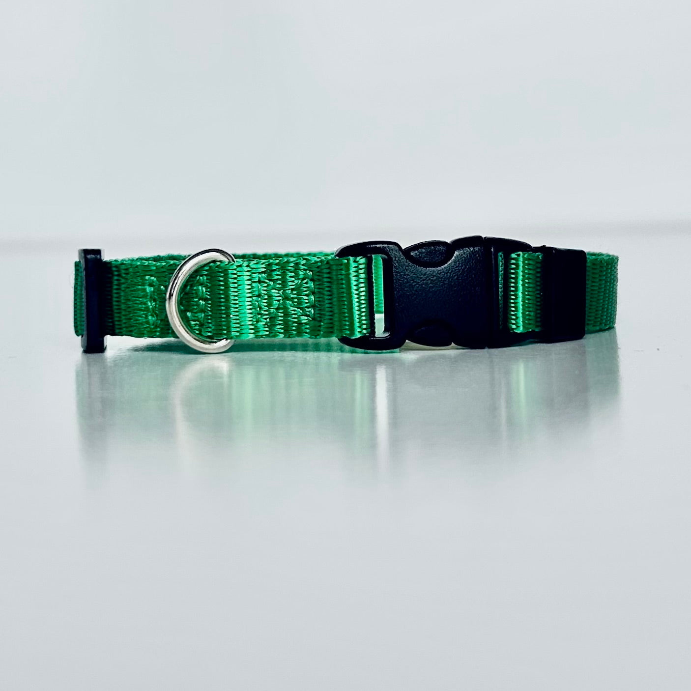 Green dog collar with black buckle on a light gray background