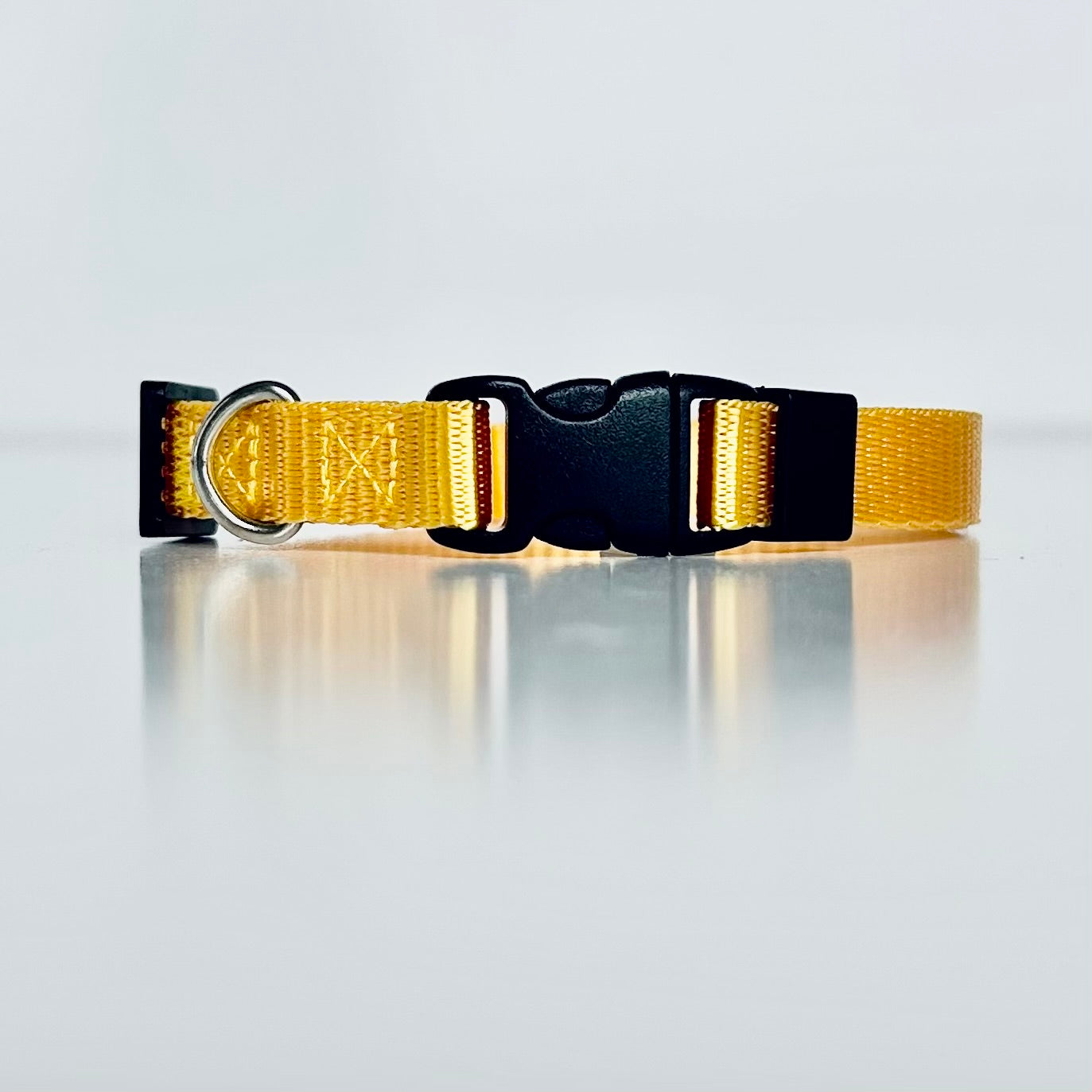 Dog collar with gold and black buckles on a light grey background