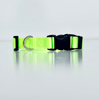 Neon green dog collar with a black buckle on a light grey background