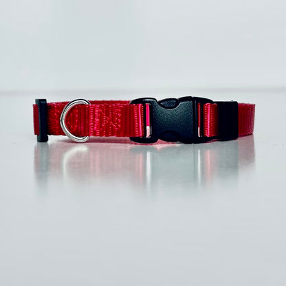 Red dog collar with a black buckle on a light grey background