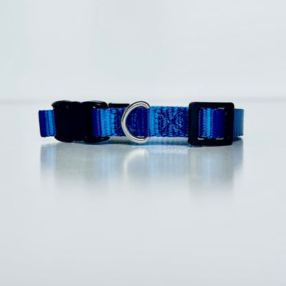 Blue dog collar with a black buckle on a light grey background