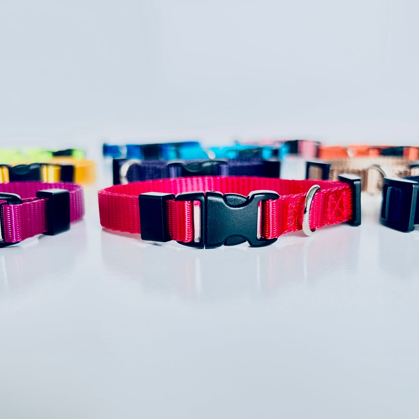 Red dog collar with a black buckle on a white surface