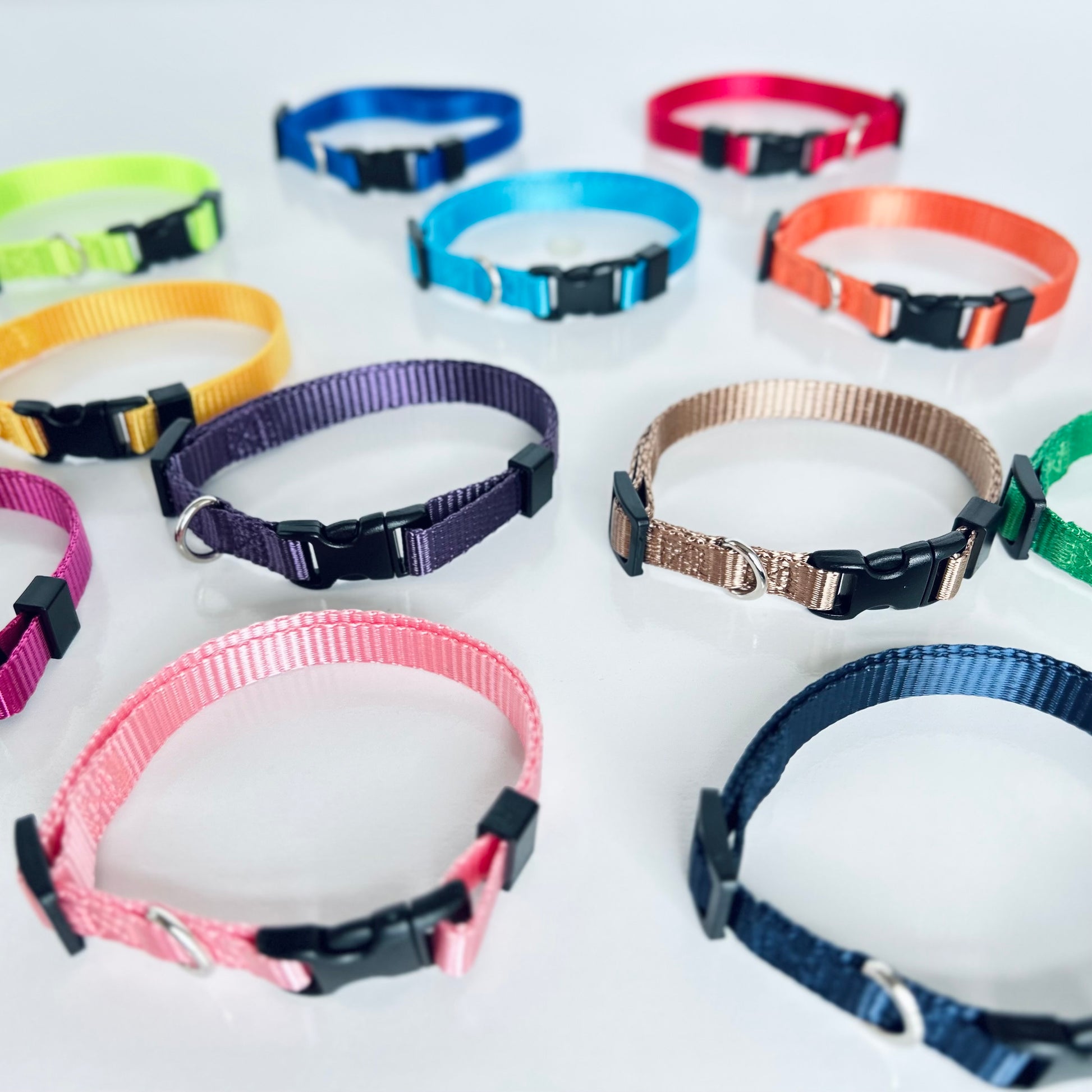 Assorted colorful dog collars on a white background