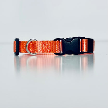 Orange dog collar with a black buckle on a light grey background
