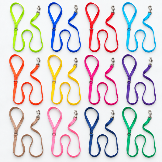 Twelve dog leashes arranged in a grid on a white background, showing multiple color options including lime green, blue, red, light blue, orange, yellow, pink, purple, brown, and teal.