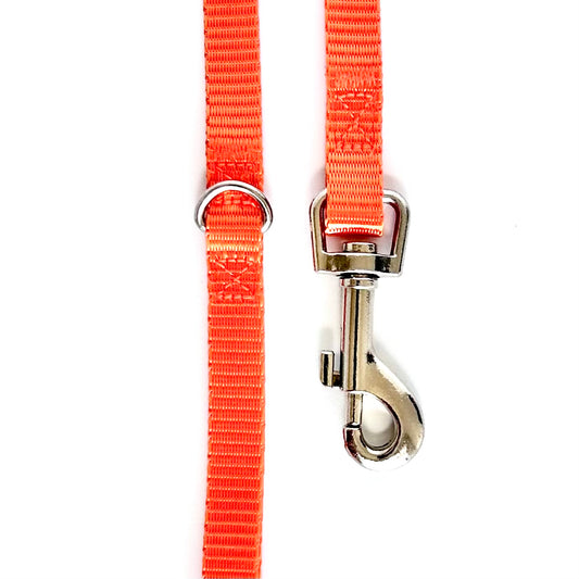 4Pooch Puppy Lead Set – Pack of 12