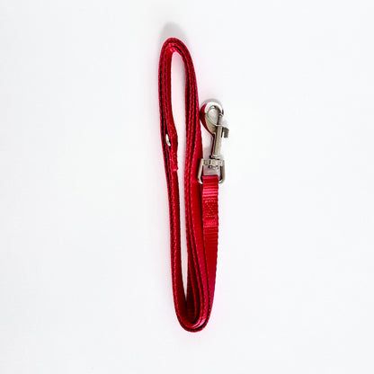 4Pooch Puppy Lead Set (12 Pack)