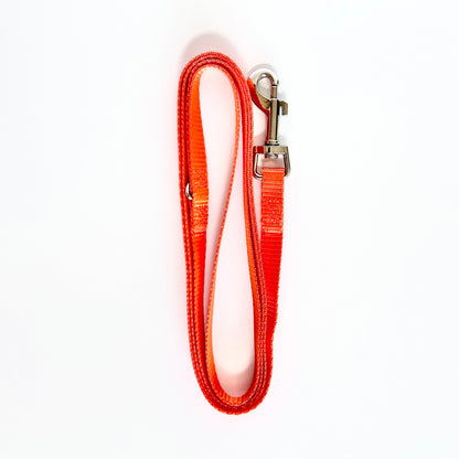 4Pooch Puppy Lead Set (12 Pack)
