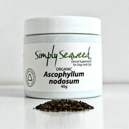 Simply Seaweed Dental Supplement