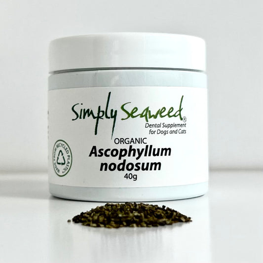 Simply Seaweed Dental Supplement