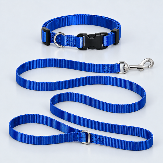 Small Pup Collar & Lead Set