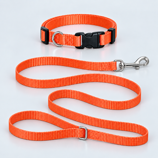 Small Pup Collar & Lead Set
