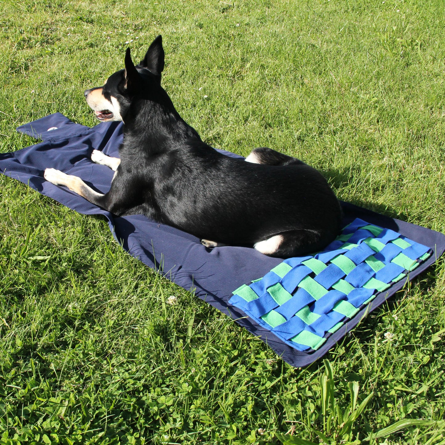 Dog lying on a blue and green woven mat in a grassy area