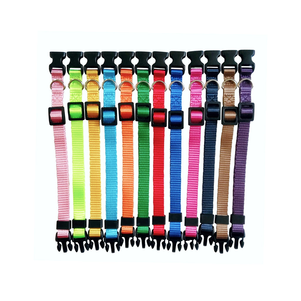 Set of colorful pet collars with black buckles on a white background